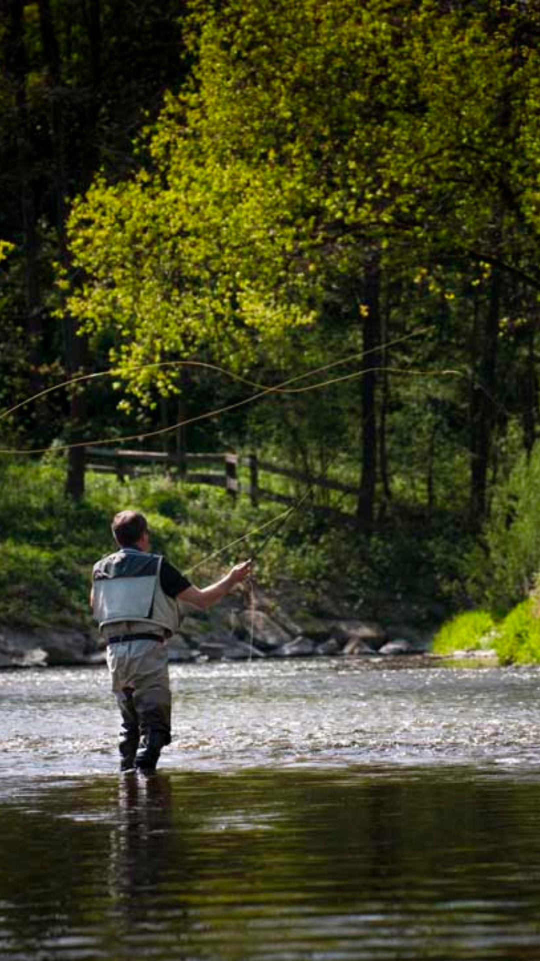 Green Fly Fishing Days - Boutique-Hotel Forstinger Schärding