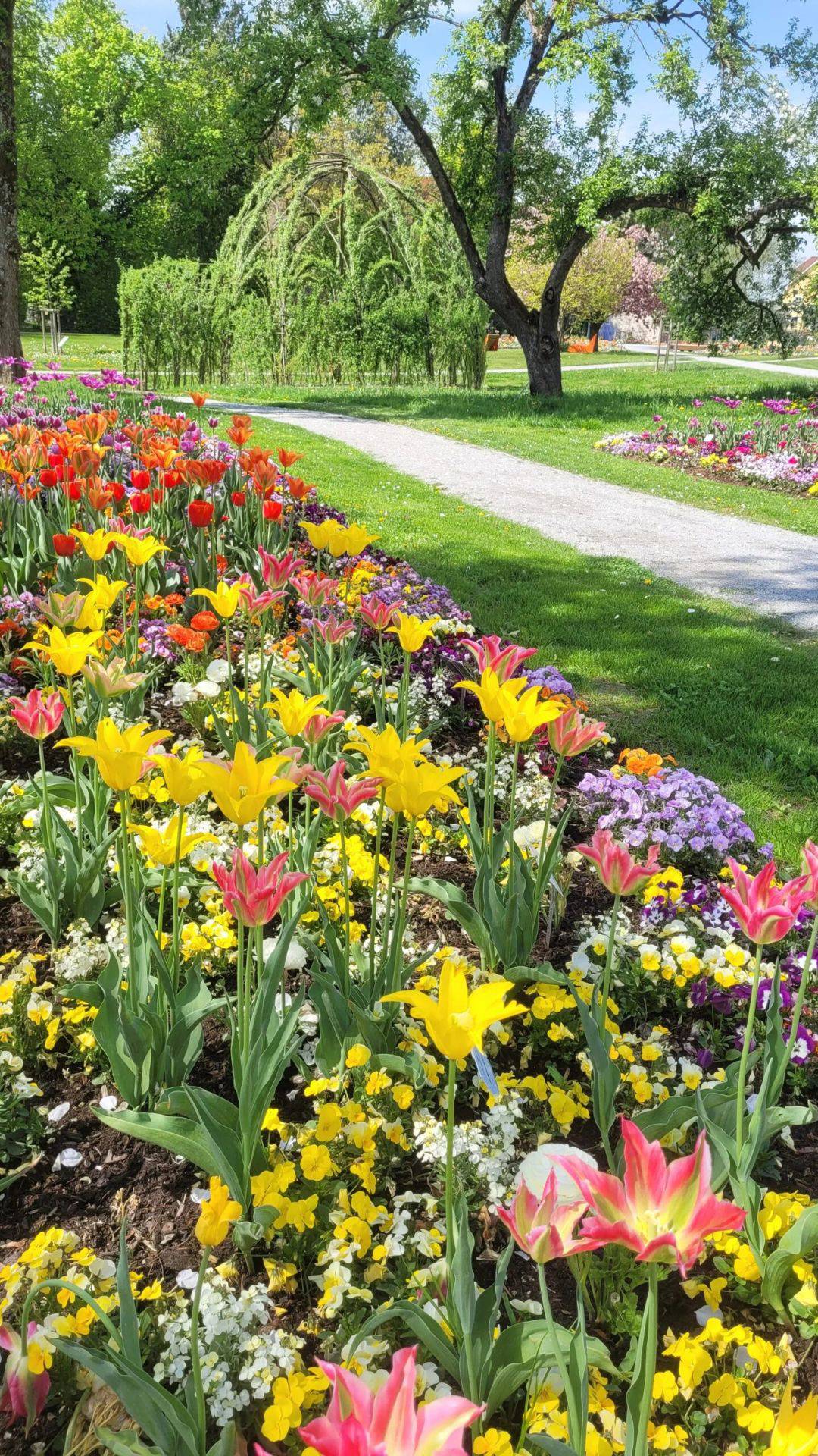 Landesgartenschau 2025 - Boutique-Hotel Forstinger Schärding
