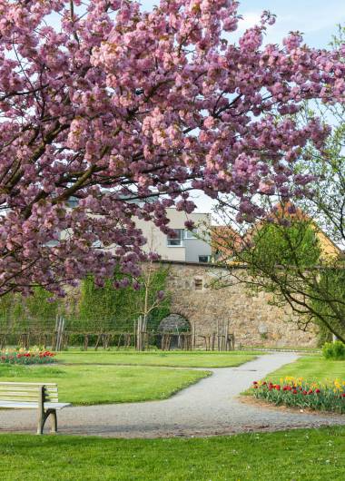 Orangeriepark in Schärding 