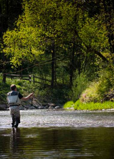 flyfishing 